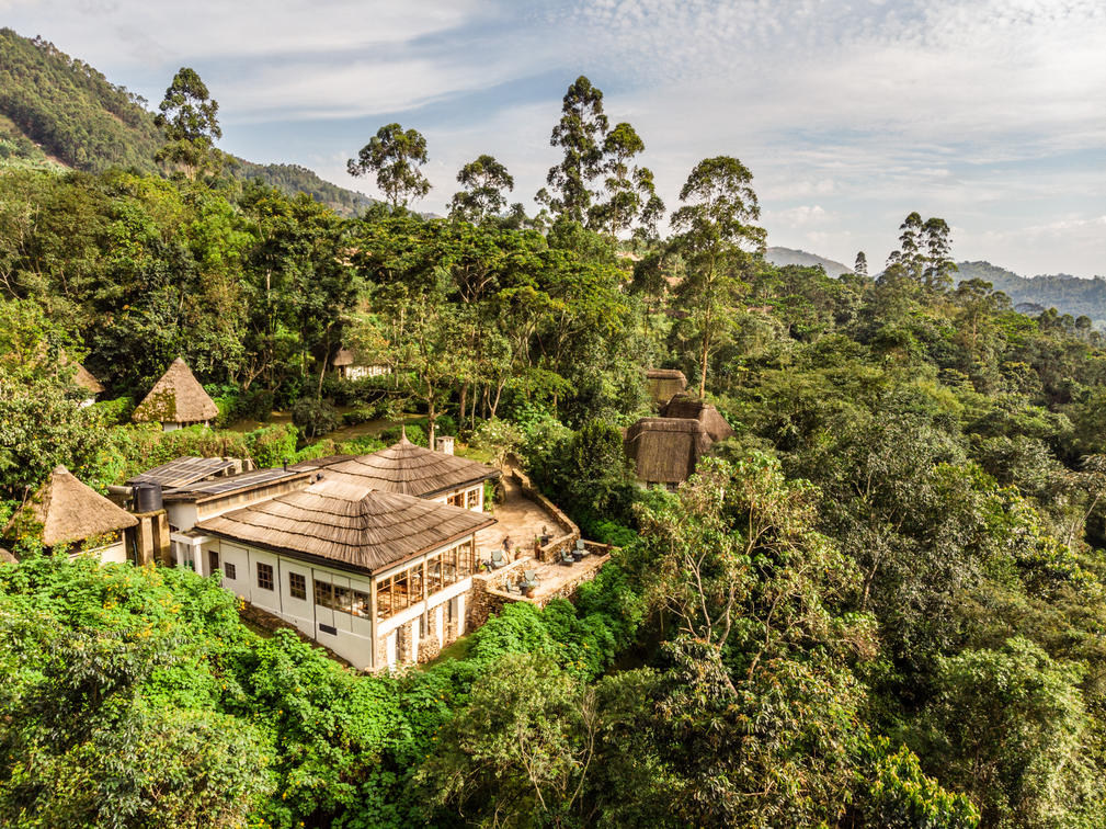 Bwindi Lodge 